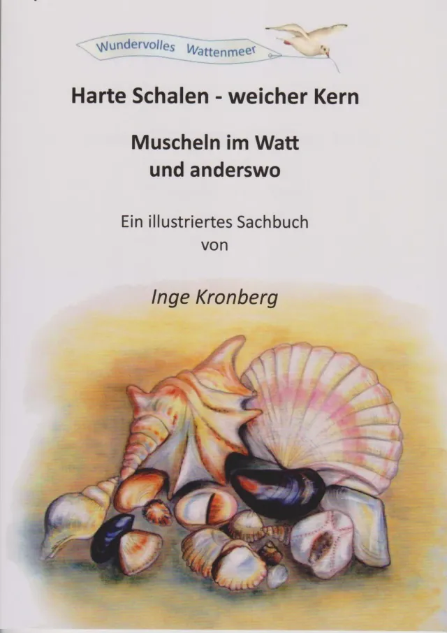 Isensee Harte Schalen weicher Kern Muscheln Sachbuch
