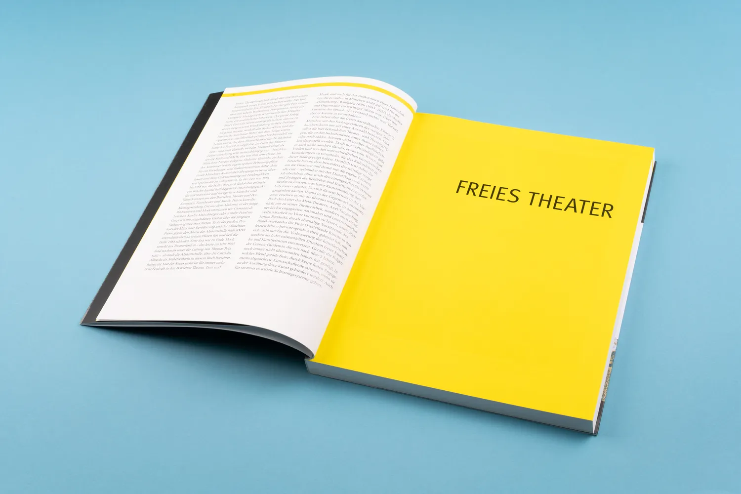 Seemann Henschel Die Lust am anderen Theater Sachbuch