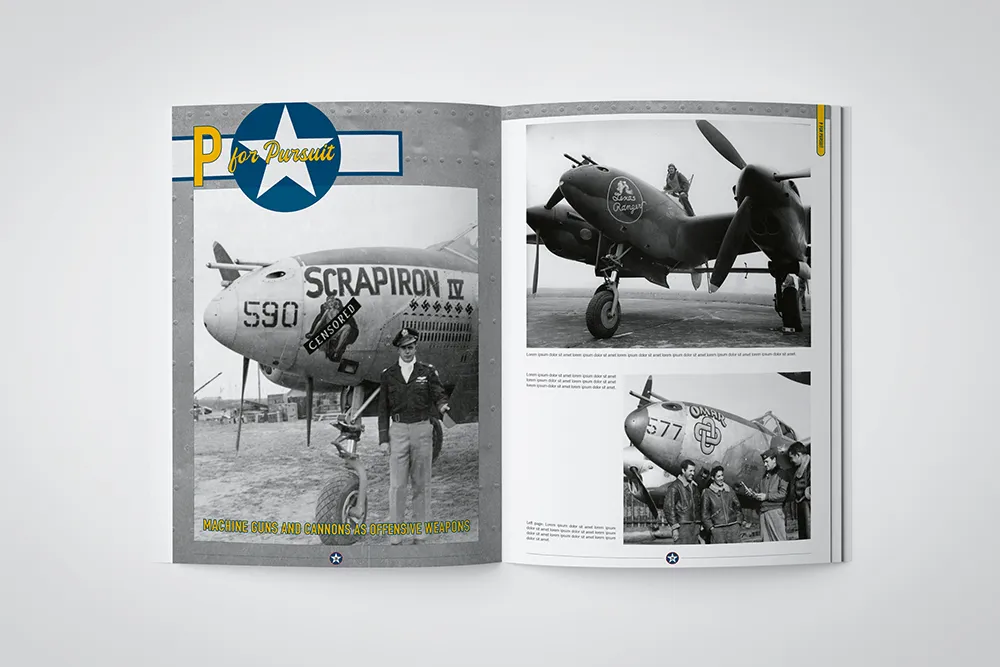 Canfora Publishing U.S.A.A.F Aircraft Weapons of WW II Bildband limitiert