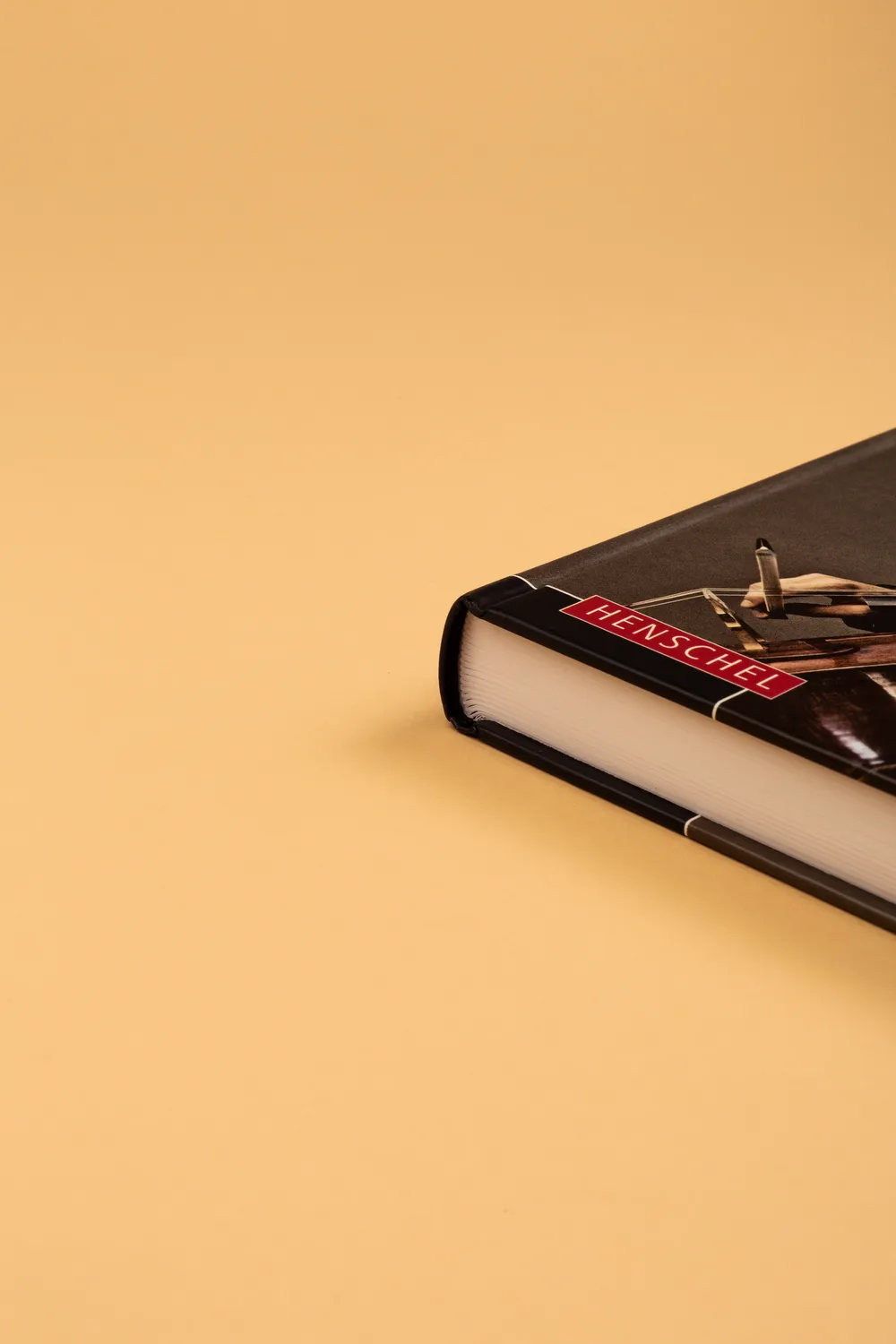 Seemann Henschel Musikergesundheit in der Praxis Buch