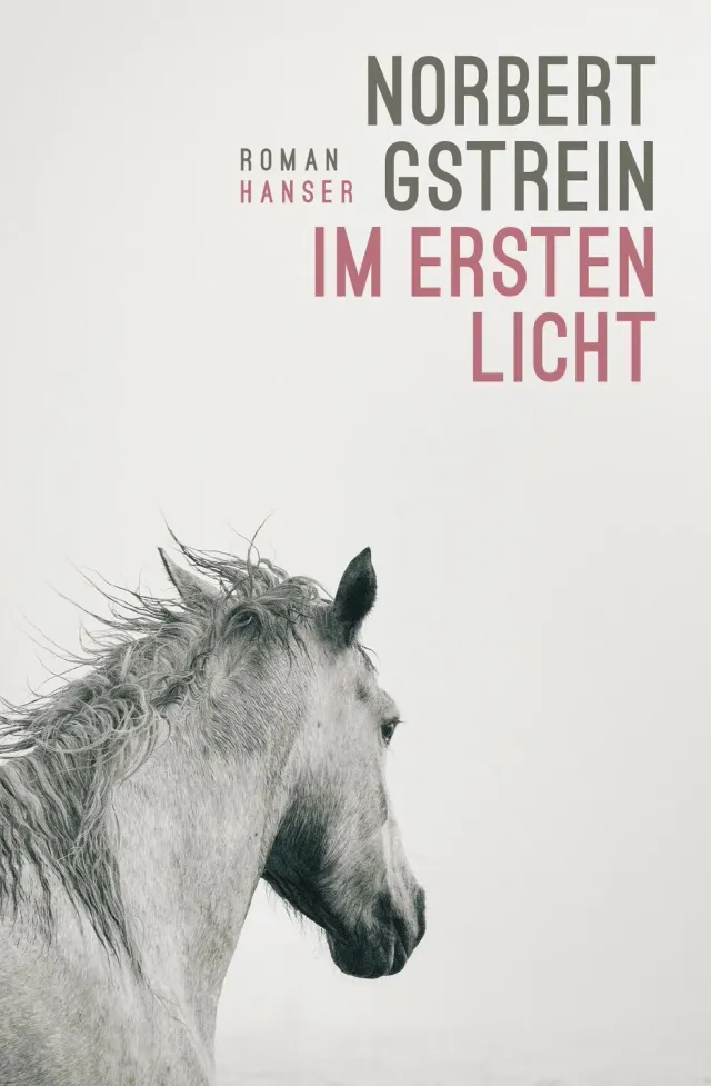 Isensee Literatur Im ersten Licht Roman gebunden