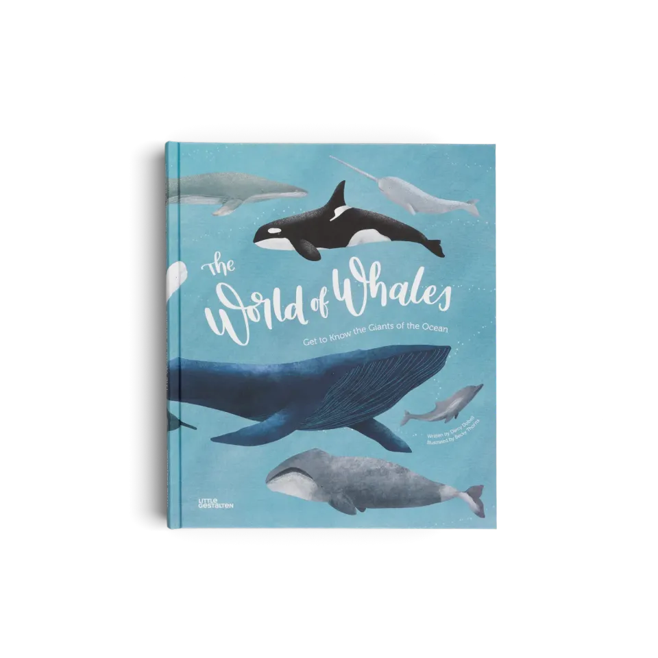 Gestalten The World of Whales Kinderbuch Wale 5-7 Jahre