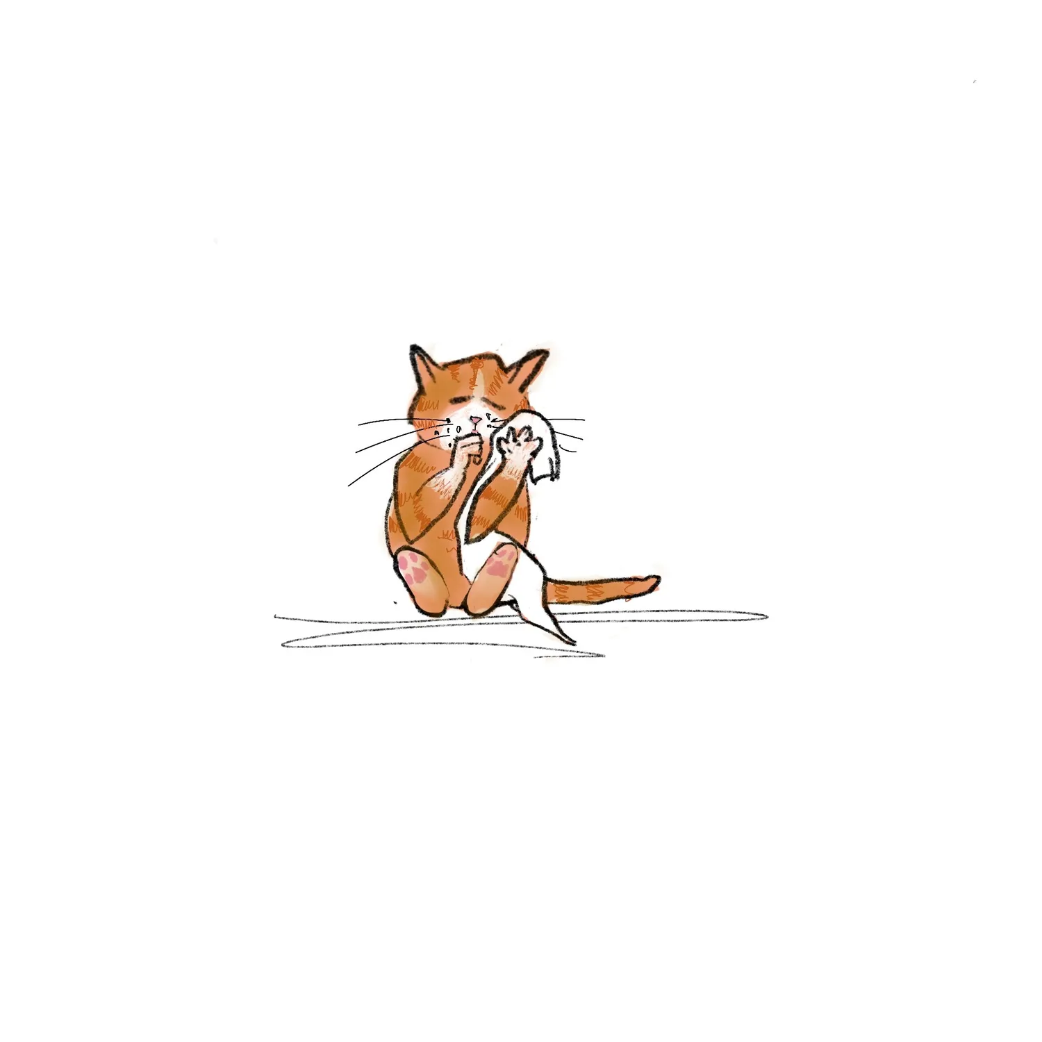 Isensee Literatur Mütze mal wieder! Buch Katzen