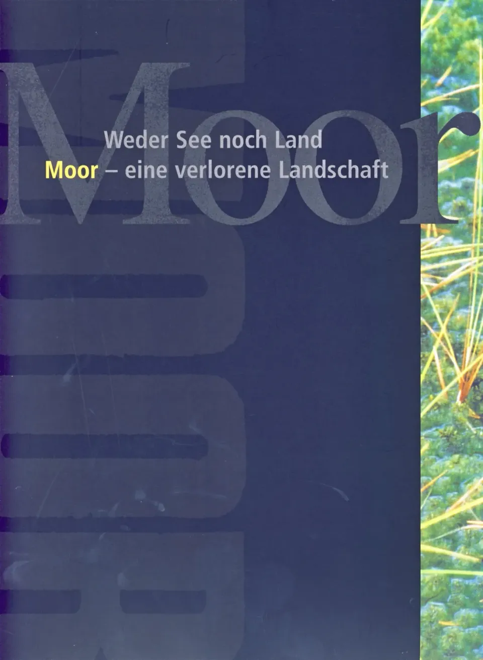 Isensee Weder See noch Land Buch Nordwest