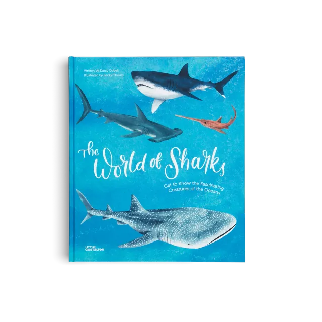 Gestalten The World of Sharks Kinderbuch Haie