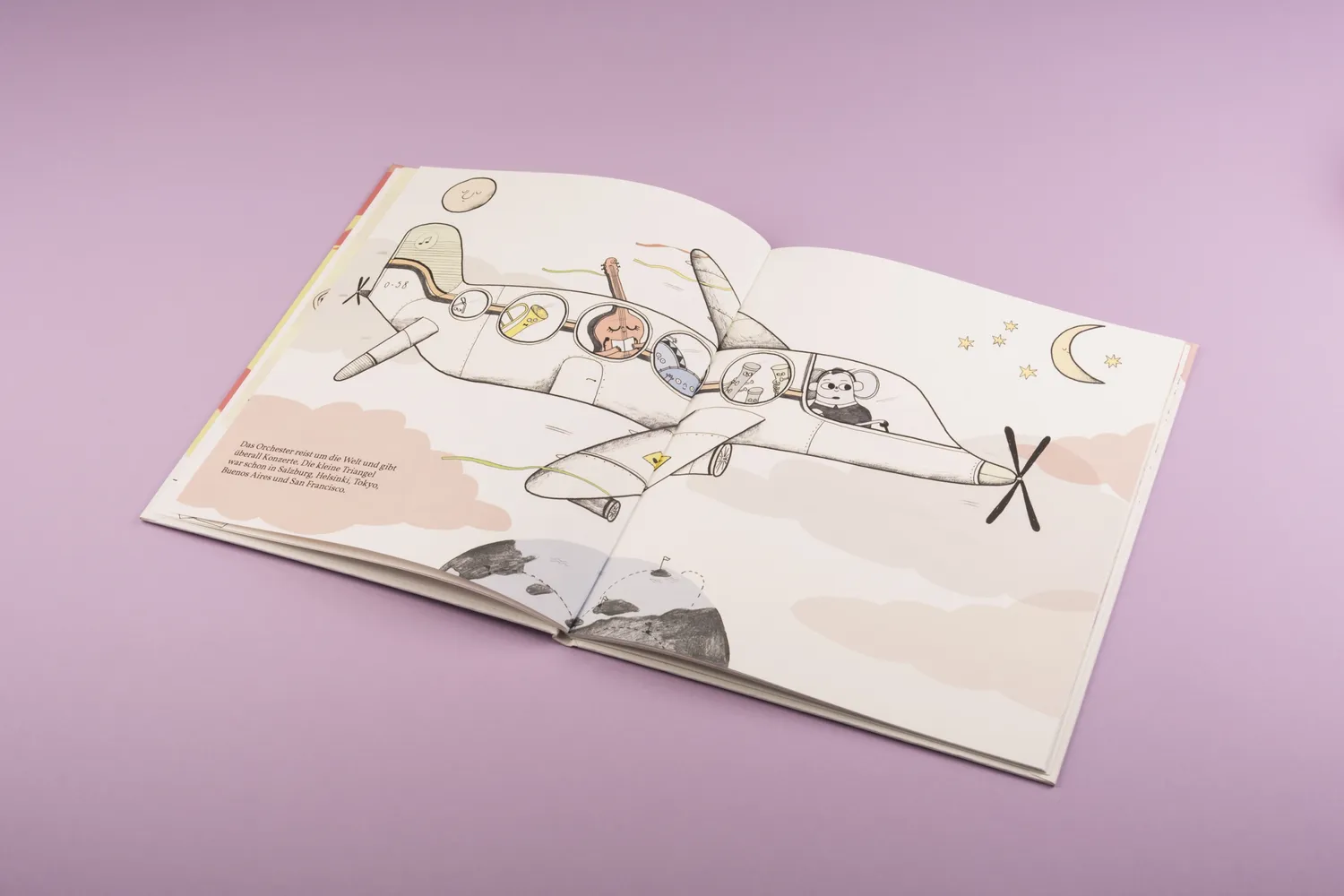 Seemann Henschel Plingpling flippt aus Bilderbuch Triangel