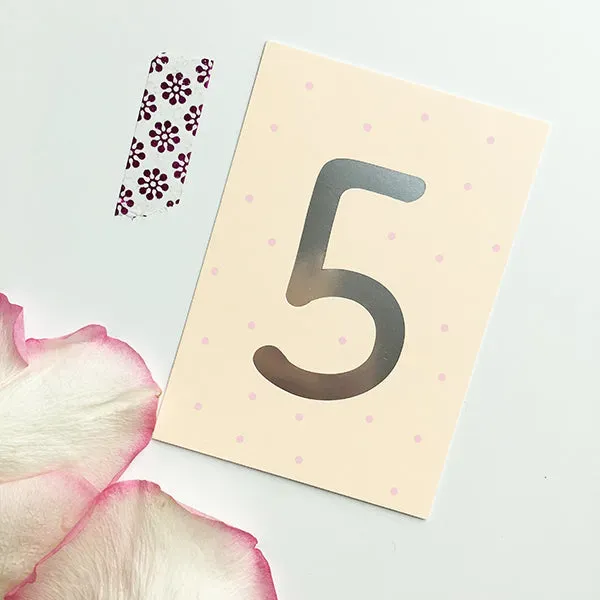 MINTKIND Mini-Kärtchen 5 Karte Silber Pastell DIN A7