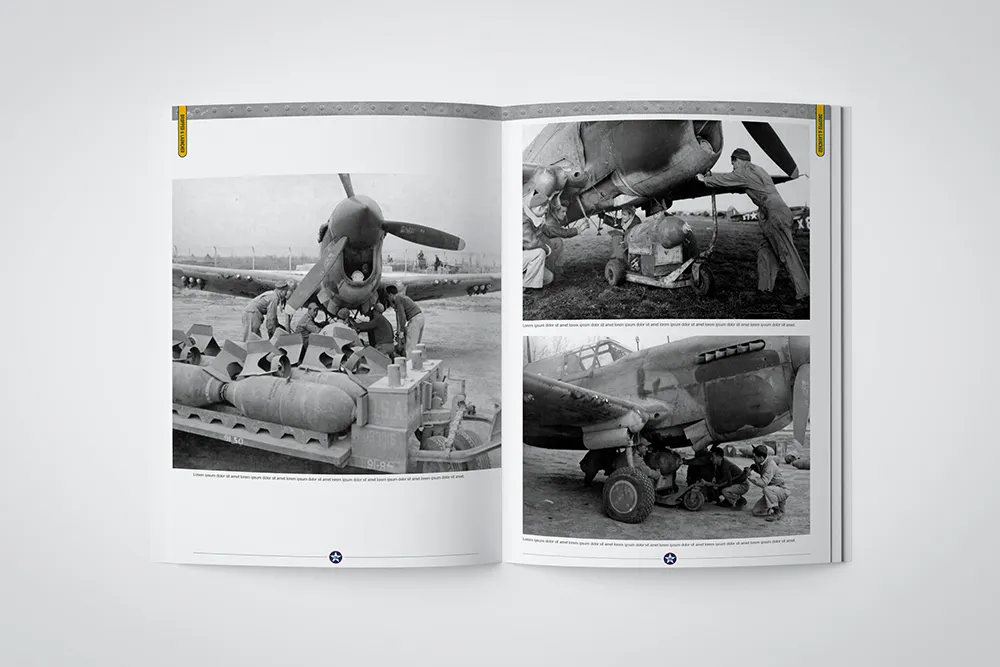 Canfora Publishing U.S.A.A.F Aircraft Weapons of WW II Bildband limitiert