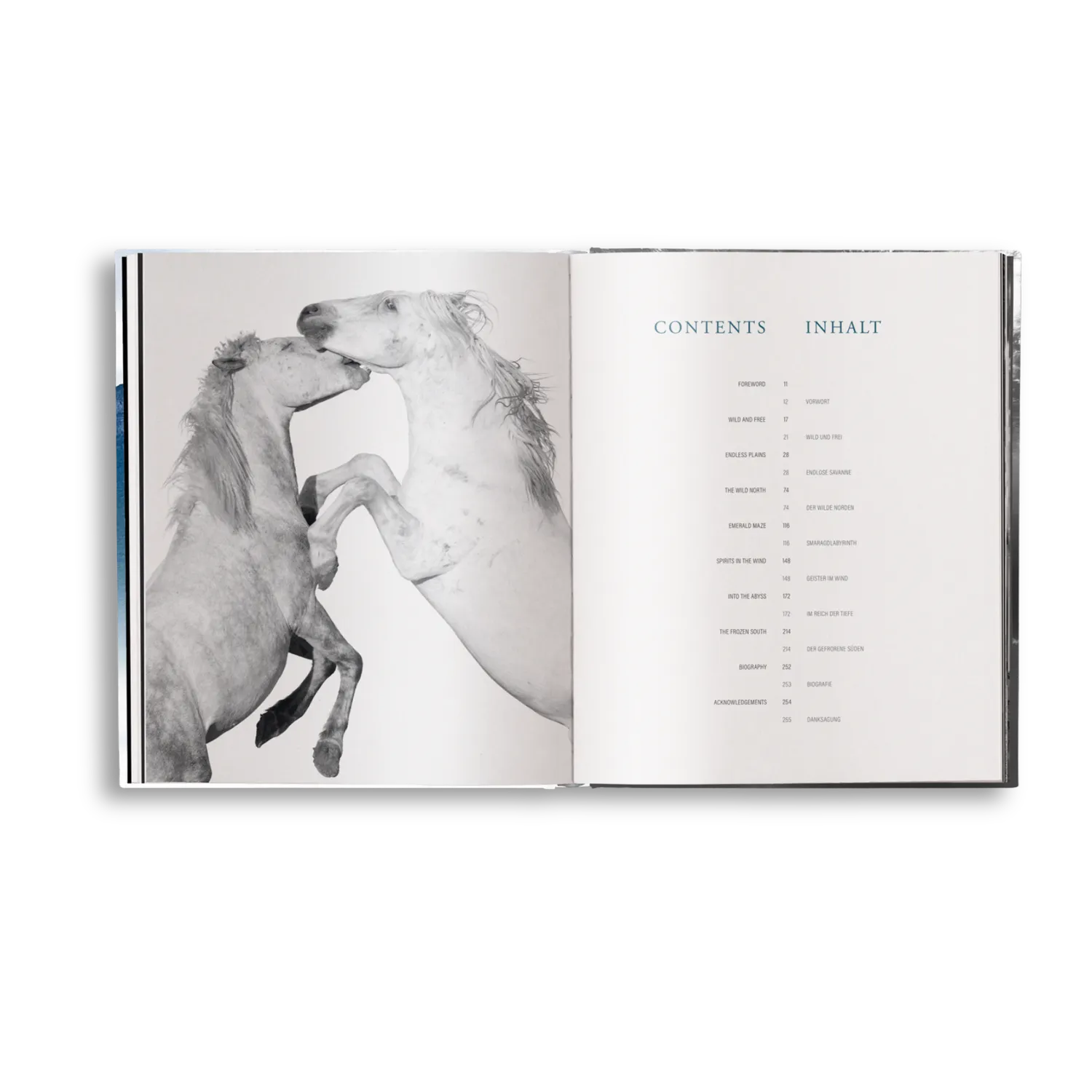 Gestalten Creation Bildband Tierfotografie Harry Skeggs