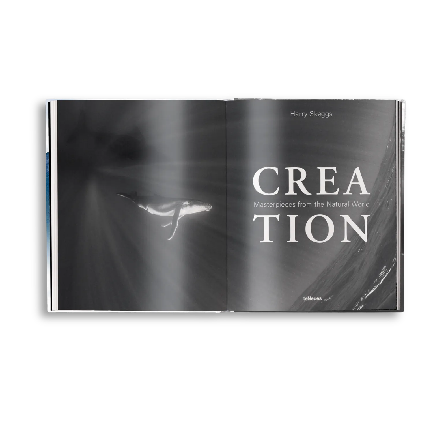 teNeues Creation Bildband Tierfotografie Harry Skeggs