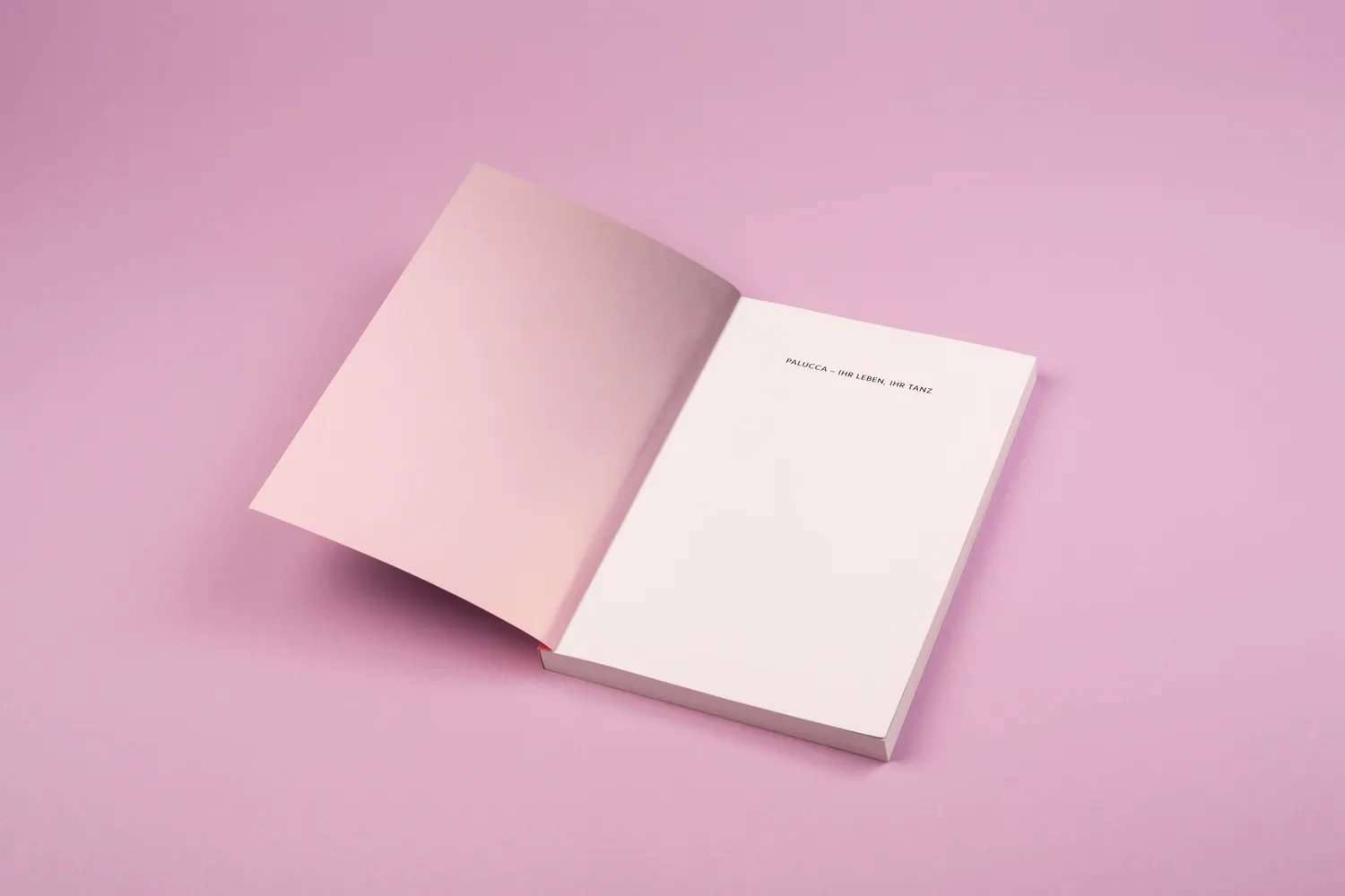Seemann Henschel Palucca Biografie Tanz-Buch Fotos