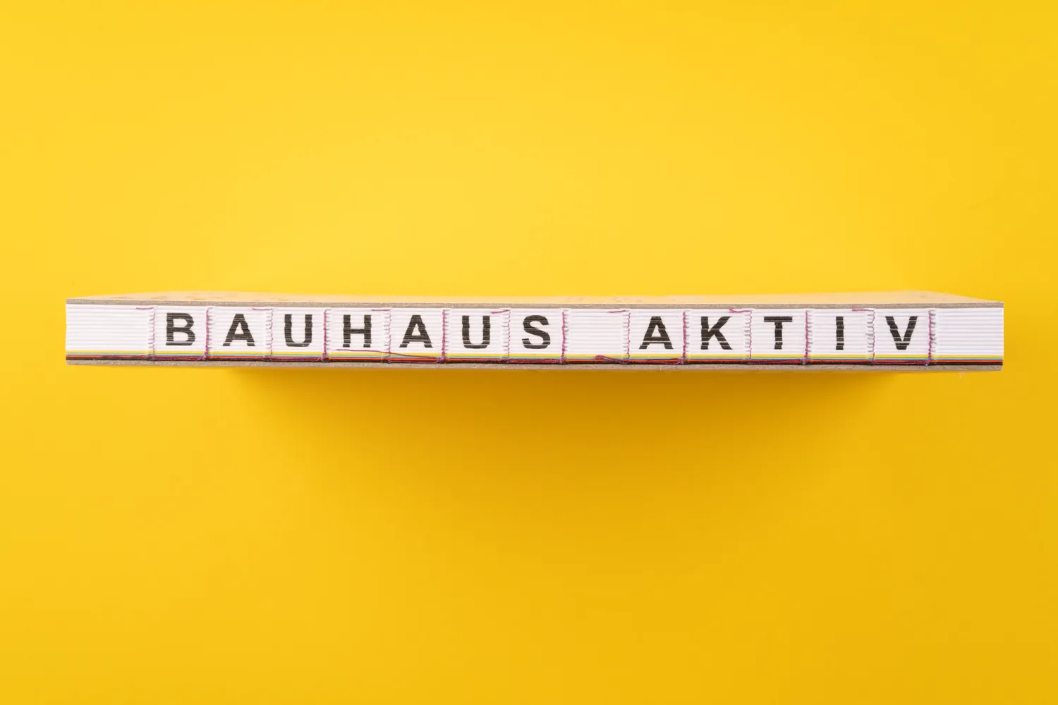 Seemann Henschel Bauhaus aktiv Kreativbuch 42 Experimente