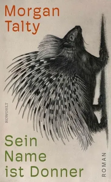 Isensee Literatur Sein Name ist Donner Roman Debütroman