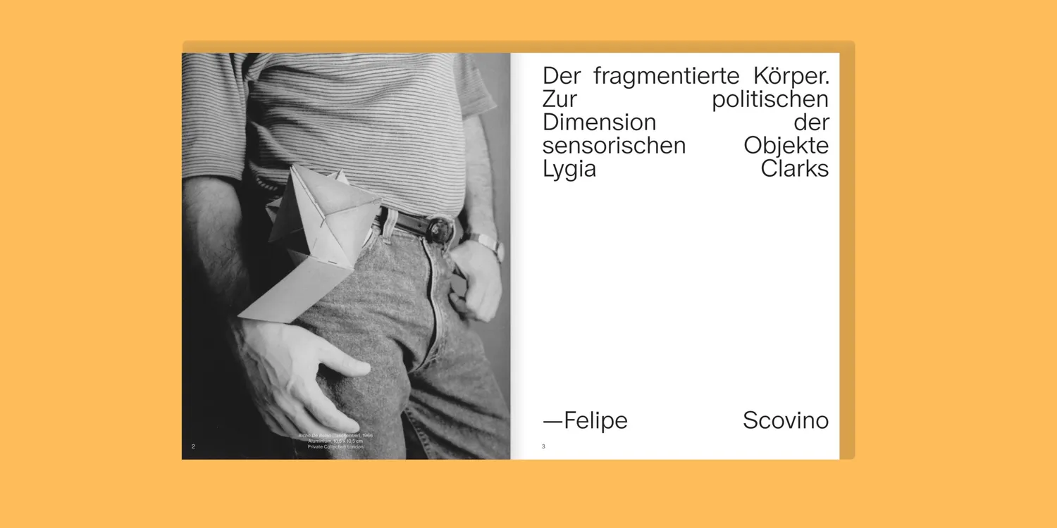 Seemann Henschel Lygia Clark Bildband Leinen Retrospektive