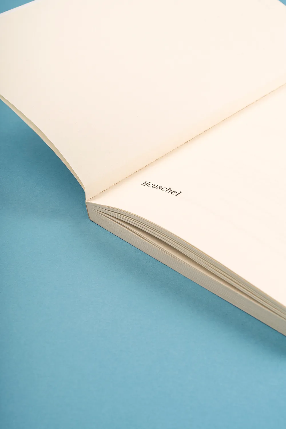 Seemann Henschel Sprecherzieherisches Übungsbuch Stimmbildung