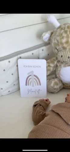 MeinBaby123 Dein erstes Jahr Meilensteinkarten 50er beige Boho