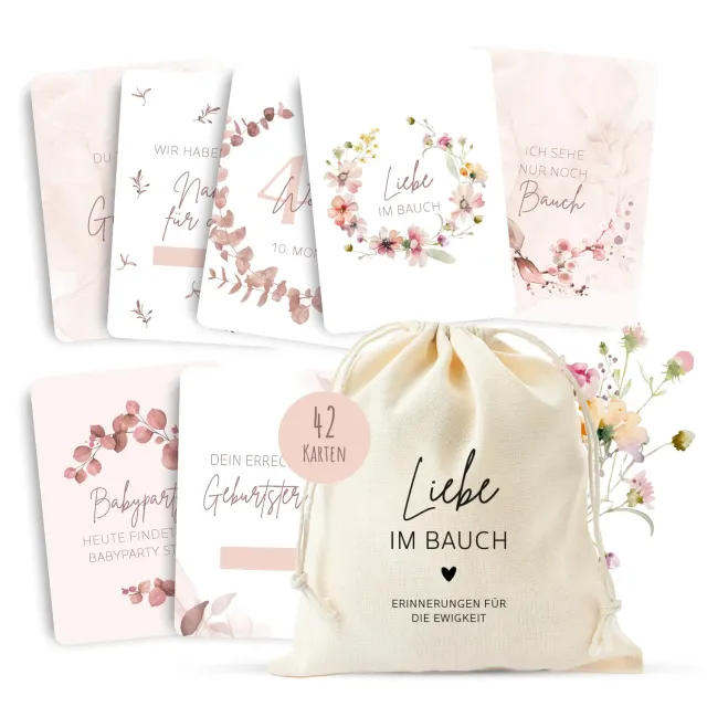 MeinBaby123 Meilensteinkarten Schwangerschaft rosa 42er Set